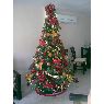 Johanna's Christmas tree from Aragua, Venezuela
