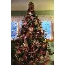 Jan Dalton's Christmas tree from Liverpool NY  USA