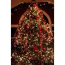 Árbol de Navidad de Becky Fraser (Waterford, CT, USA)