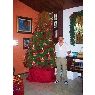 Bosco Sibrian's Christmas tree from San Salvador EL SALVADOR