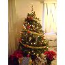 Árbol de Navidad de chris & geraldine (california, usa )