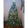 Weihnachtsbaum von ruben garcia (mexico queretaro)