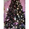 Doina Danuta's Christmas tree from Madrid, España