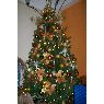 Alba Sanchez's Christmas tree from Caracas, Venezuela