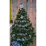 Noelia's Christmas tree from Santander, Cantabria, España