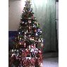 familia cordoba's Christmas tree from venezuela,caracas