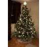 Weihnachtsbaum von Sandro R. Alvarez (Mississauga, Ontario, Canada)