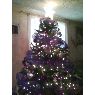 Dulce Casillas's Christmas tree from Nogales, Sonora, Mexico