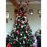 CHARITO KIYOHARA's Christmas tree from LIMA PERU