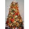 IRAIDA  ABREU's Christmas tree from VALERA    VENEZUELA