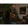Weihnachtsbaum von Melissa Penny (Texas,USA)
