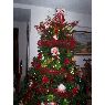 Weihnachtsbaum von maria colombo (caracas-venezuela)