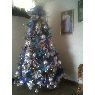 Daniela Carruyo's Christmas tree from Venezuela, Macaraibo