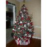 Rina GIl's Christmas tree from Garland, Texas