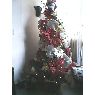 Tabata Romero's Christmas tree from Miranda-Venezuela