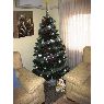 Cristina Raileanu's Christmas tree from Utebo (Zaragoza), España