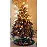 Josephine's Christmas tree from Cary, NC, USA