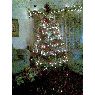 Weihnachtsbaum von Lidia M. Morales (BOQUETE ,PANAMA)