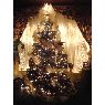 Ernie Rivas's Christmas tree from Philadelphia, PA, USA