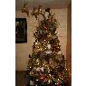 Mayra Jaime's Christmas tree from Tucson, Arizona