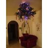 Weihnachtsbaum von BERTOLINO (OPIO, FRANCE)
