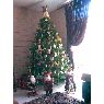 FAMILIA RIOJA - CAMPOS's Christmas tree from ARICA - CHILE.