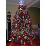 LAURA & SAL MULTARI's Christmas tree from NEW CITY, NEW YORK