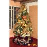 David Silva's Christmas tree from Barquisimeto, Venezuela