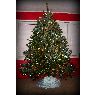 Árbol de Navidad de Stefanie Manning (Opp, AL, USA)