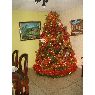 Gela Ninoska Fuenmayor's Christmas tree from Maracaibo, Venezuela