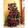 Douay Lucie's Christmas tree from Caudry, France