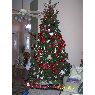 Johanna Gonzalez's Christmas tree from Laredo, Texas