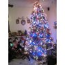 Xavier and Linda Sacta-Abad's Christmas tree from Queens New York, USA