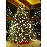 Árbol de Navidad de Dave Eckler (Webster, NY)