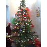 puneet madan's Christmas tree from india