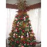 Weihnachtsbaum von ADALJISA ROJAS POLANCO (SANTIAGO, REPUBLICA DOMINICANA)