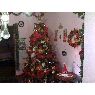 Familia Boyer Hernandez's Christmas tree from Venezuela, Caracas