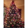 Ben Randles's Christmas tree from Bristol, England, United Kingdom