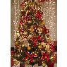victoria san martin trujillo's Christmas tree from santiago