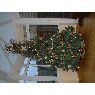 Weihnachtsbaum von KP (Hertfordshire)