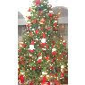 CRISTHIAN VILLACIS BETANCOURT's Christmas tree from ECUADOR,-RIOBAMBA