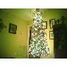 Weihnachtsbaum von Sarah Crow (USA)