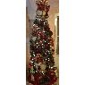 Legnalie's Christmas tree from Puerto Rico