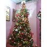 Árbol de Navidad de JOANA COLOMBO (CARACAS-VENEZUELA)