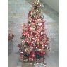 Irama de  Ledezma's Christmas tree from Guarico  venezuela