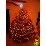Kelly Przymus's Christmas tree from Hamden, CT, USA