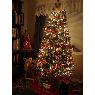 Weihnachtsbaum von Jan Anderson (Alabama)