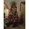 Lerida Gonzalez's Christmas tree from San feliz Venezuela 