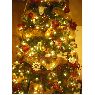 keven's Christmas tree from Iles de la madeleine, quebec, canada