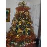 Weihnachtsbaum von Rosa Alves (Venezuela)